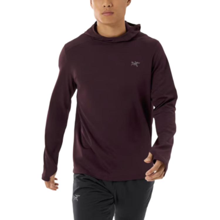 Толстовка с капюшоном Cormac Heavyweight Men's Arcteryx, Винтажный зеленый/Тацу — фото 2