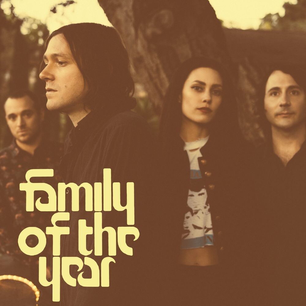 

Виниловая пластинка LP Family Of The Year - Family Of The Year