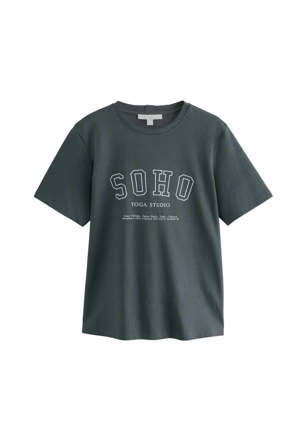 

Футболка с принтом HEAVYWEIGHT SHORT SLEEVE CREW NECK STANDARD Next, зеленый