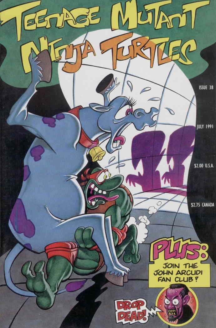 

Teenage Mutant Ninja Turtles (1st Series), Edition# 38 (Mirage)