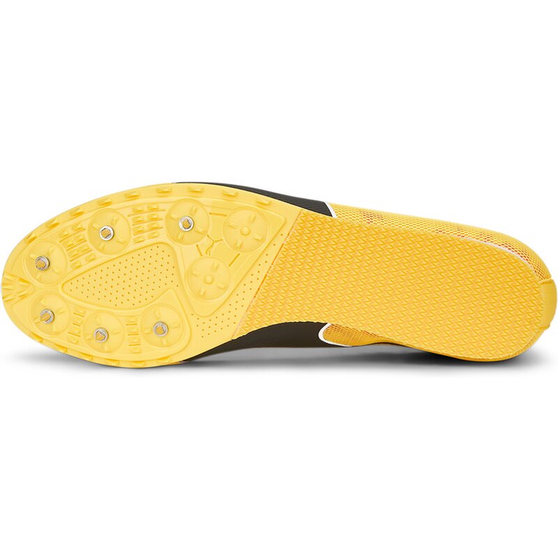 Кроссовки спортивные evospeed star 8 Puma, цвет sun stream-sunset glow-puma bl — фото 2