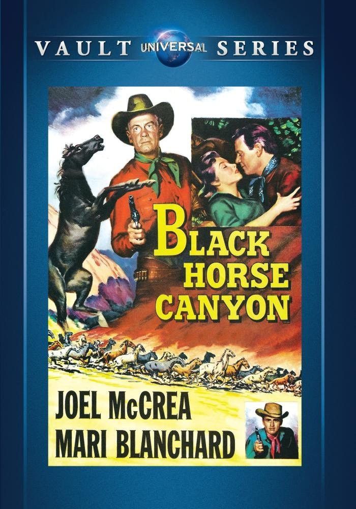 

Диск DVD Black Horse Canyon