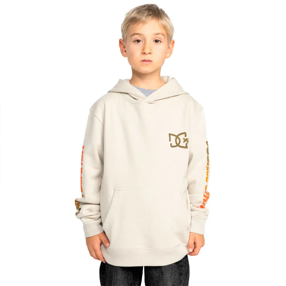 

Худи Dc Shoes Hot Box PH, бежевый