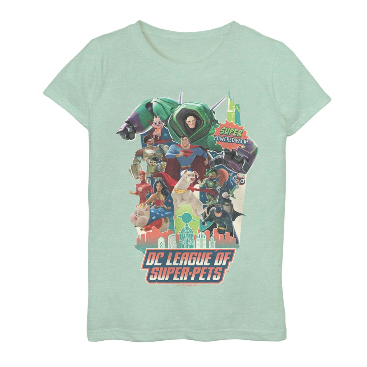 

Полностью литая футболка DC Super Pets Legends для девочек 7–16 лет DC Comics
