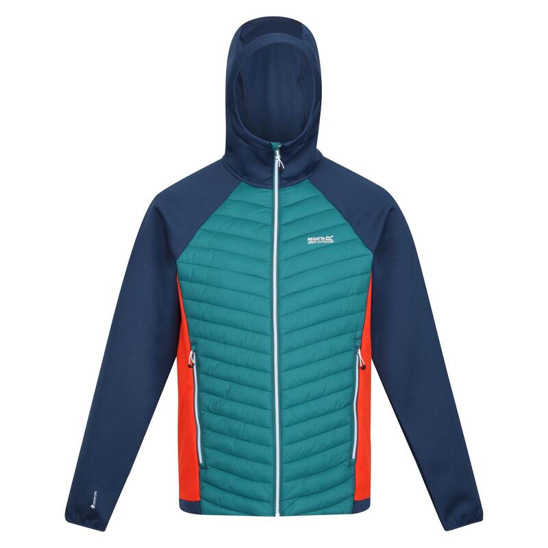 

Мужской пуховик Regatta, цвет blue/green/naranja