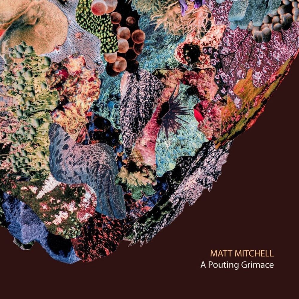 

Диск CD A Pouting Grimace - Matt Mitchell