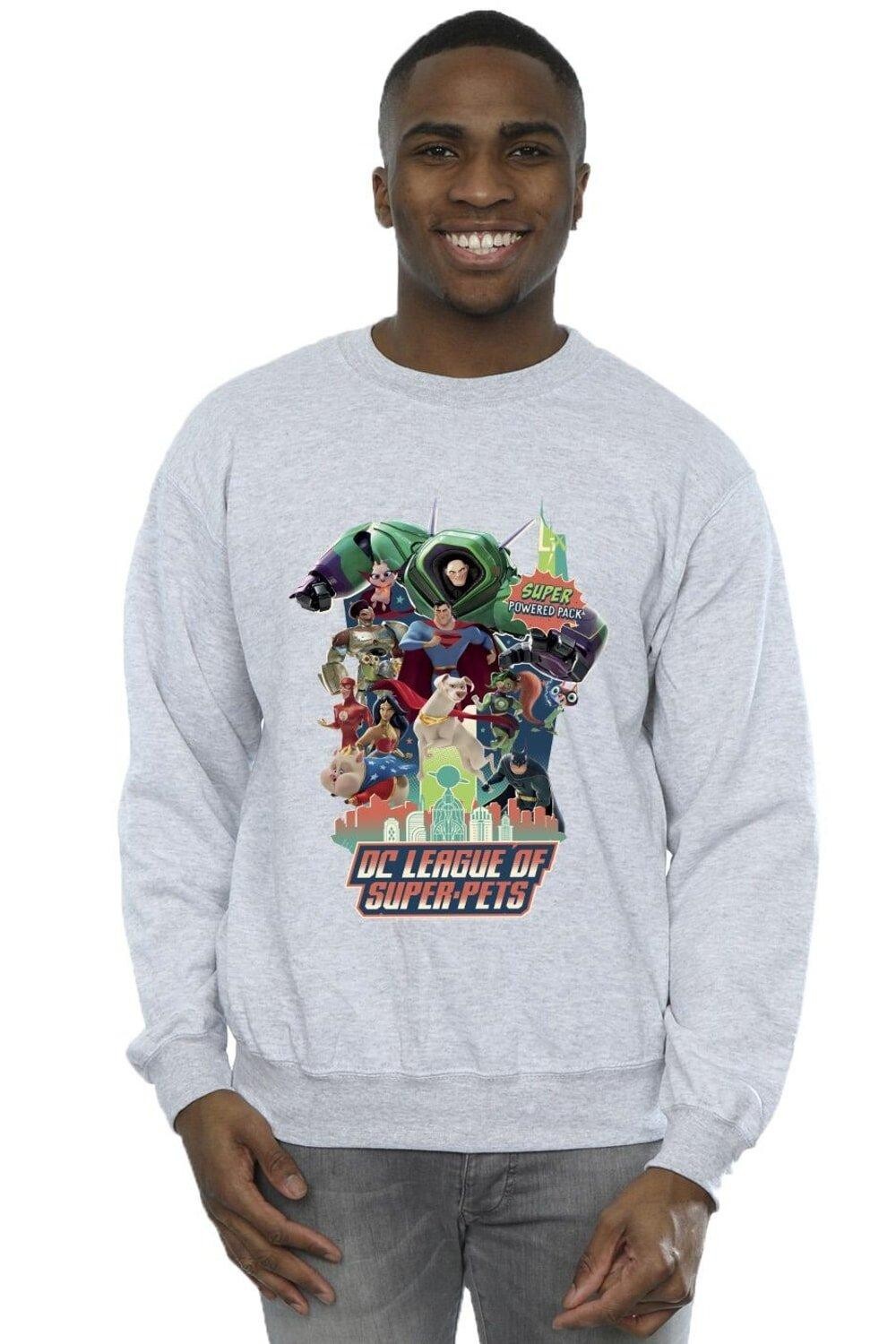 

Толстовка DC League Of Super-Pets Super Powered Pack DC Comics, серый