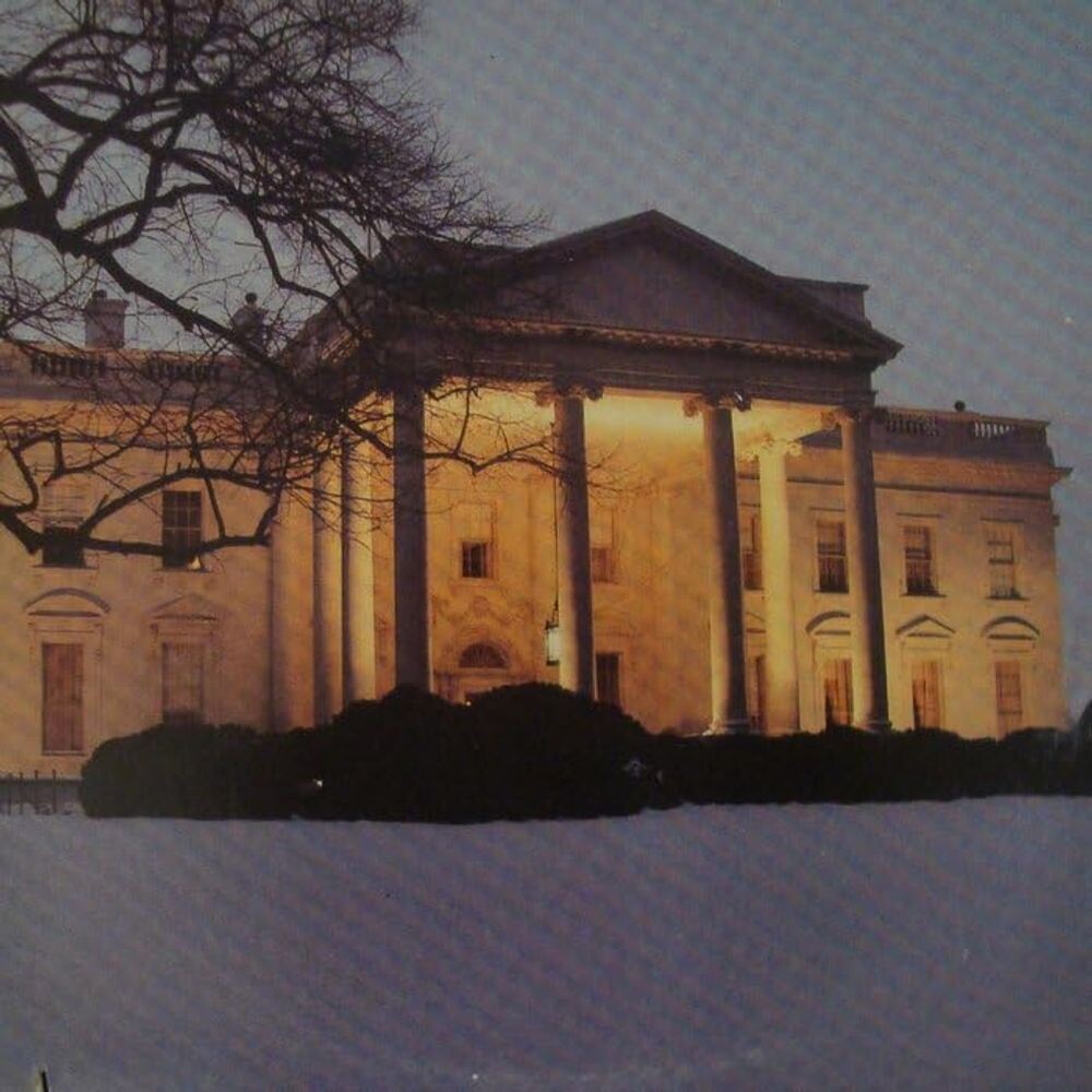 

Виниловая пластинка LP The White House - The Dead C