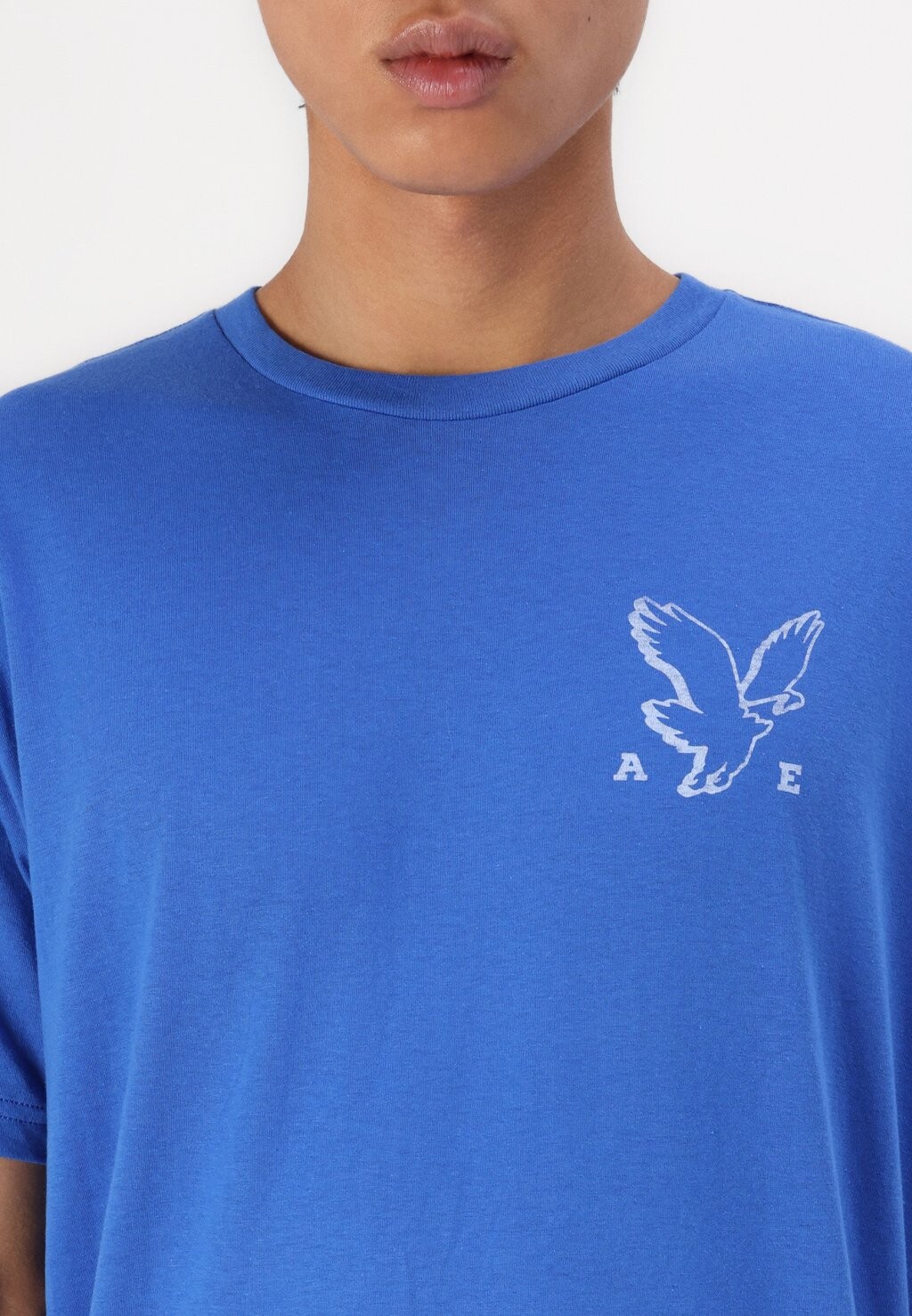 

Футболка с принтом CORE BRAND SET IN TEE American Eagle, синий