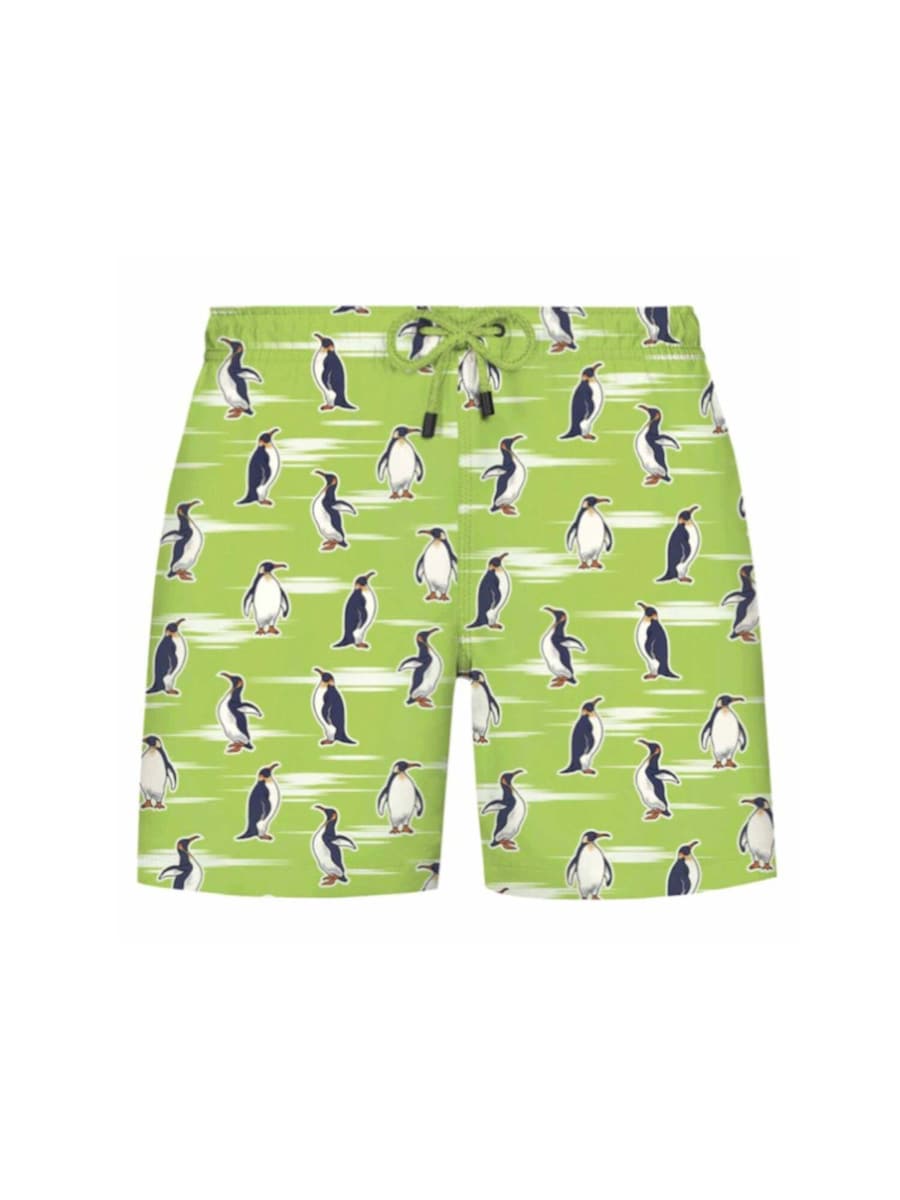 

Шорты для серфинга WESTMARK LONDON, светло-зеленый