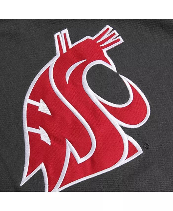 Темно-серый пуловер с капюшоном и большим логотипом Big Boys Washington State Cougars Colosseum, серый — фото 3