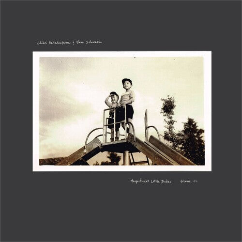 

Виниловая пластинка Hatakeyama, Chihei / Ishiwaka, Shun: Magnificent Little Dudes Vol. 1