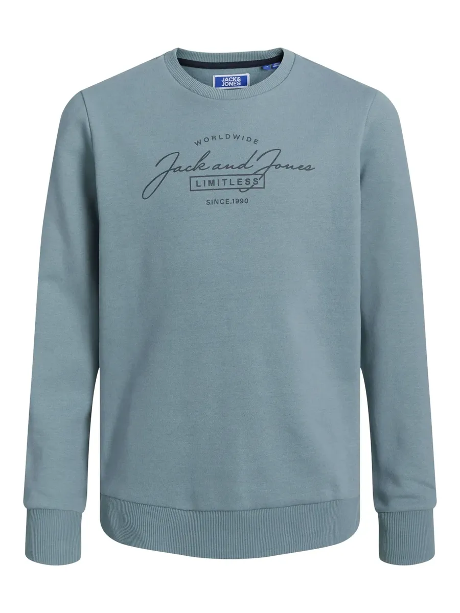 

Детская толстовка Jack & Jones "JJFERRIS SWEAT CREW NECK JNR" Jack & Jones Junior, синий