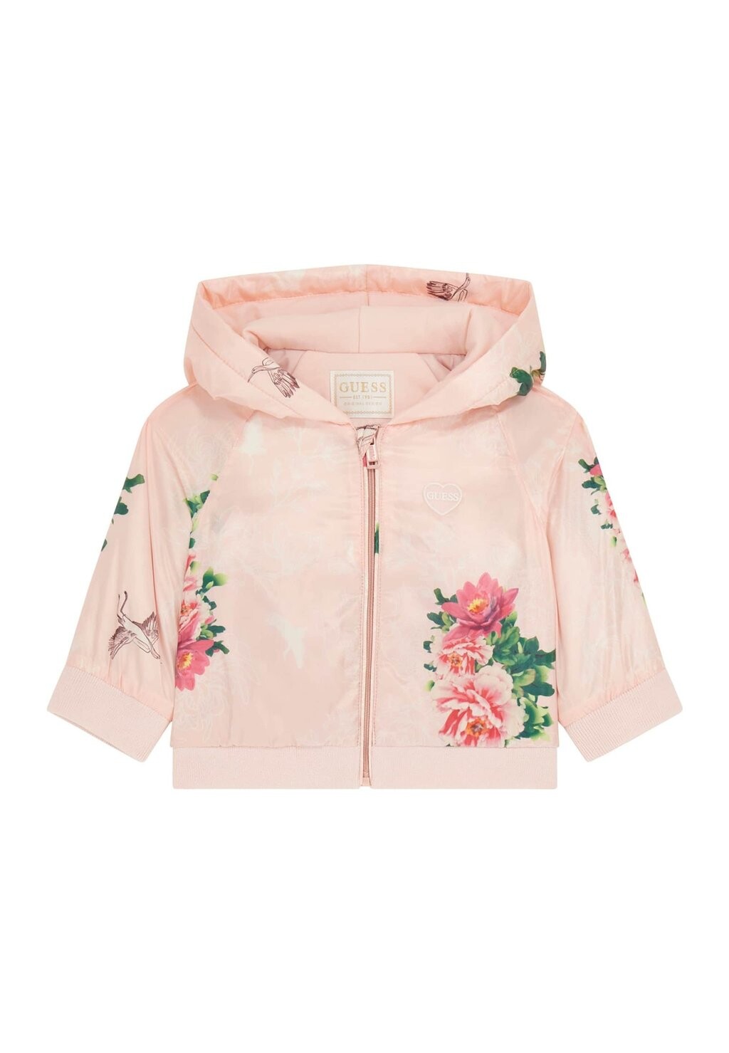 

Переходная куртка Guess, разноцветный