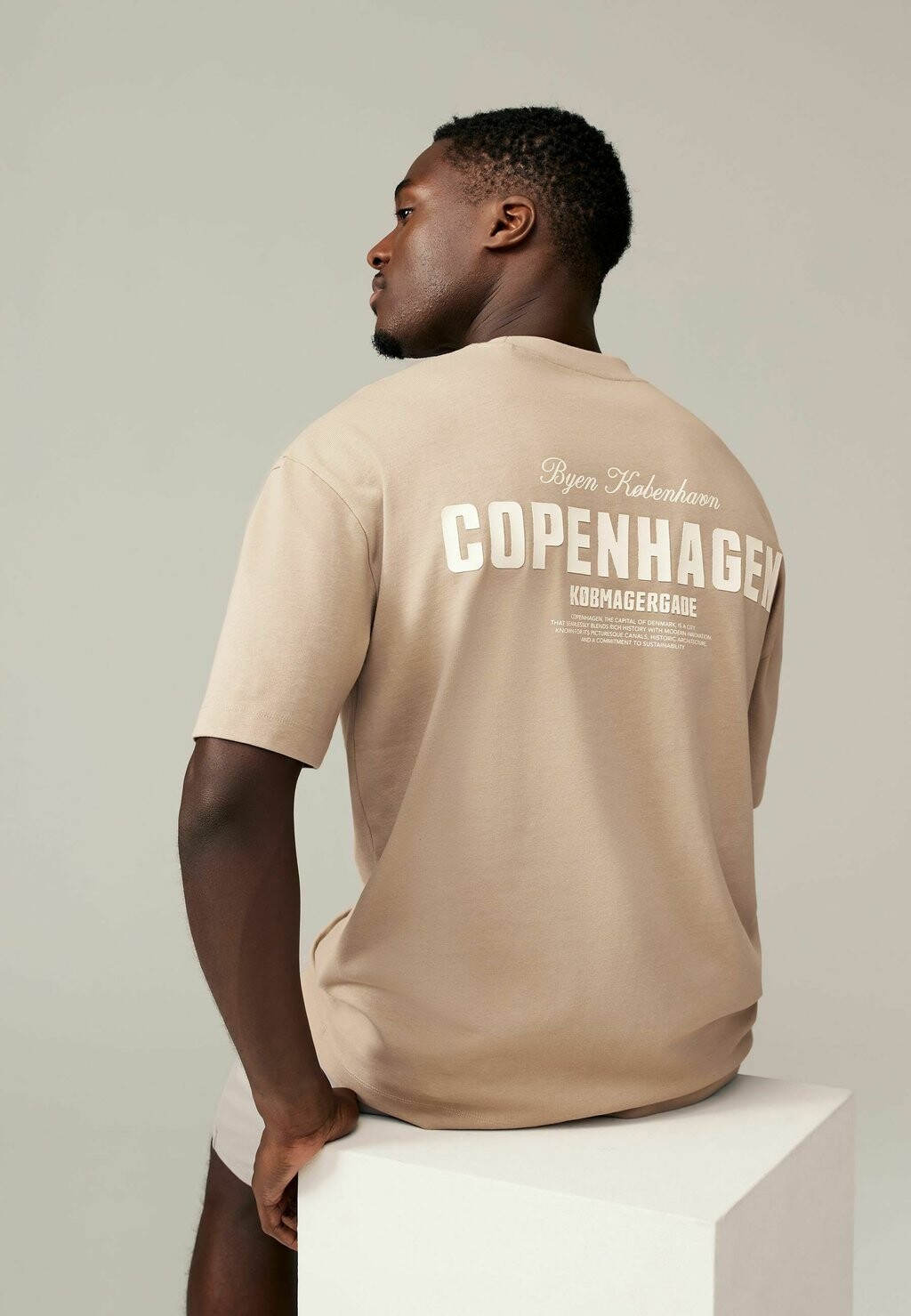 

Футболки с принтом Next, цвет Stone Copenhagen
