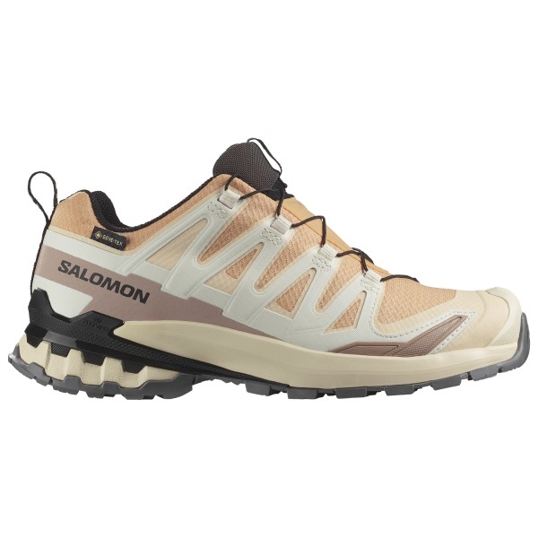 

Женские кроссовки xa pro 3d v9 gtx - мультиспортивные Salomon, мультиколор