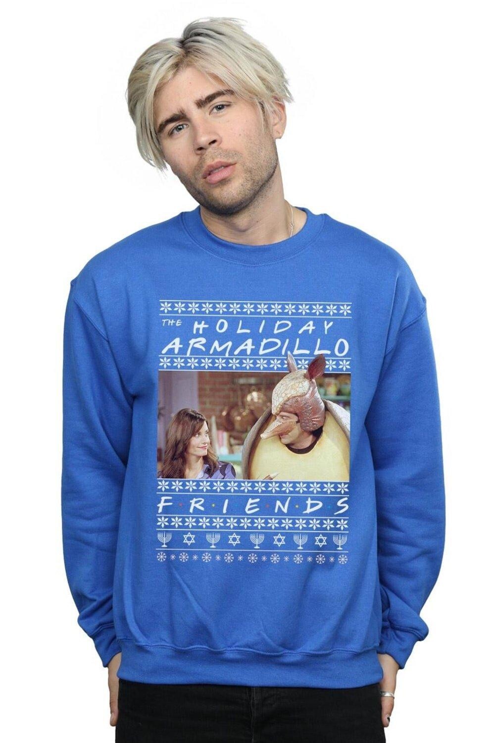 

Толстовка Fair Isle Holiday Armadillo Friends, синий