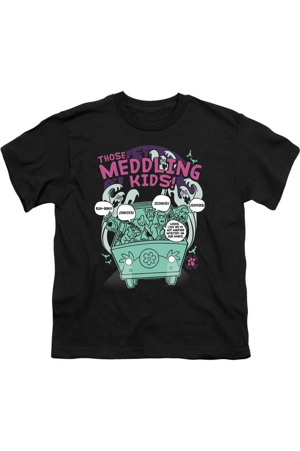 

Футболка с коротким рукавом для детей Scooby Doo "Вмешиваемся с 1969" Gildan, черный