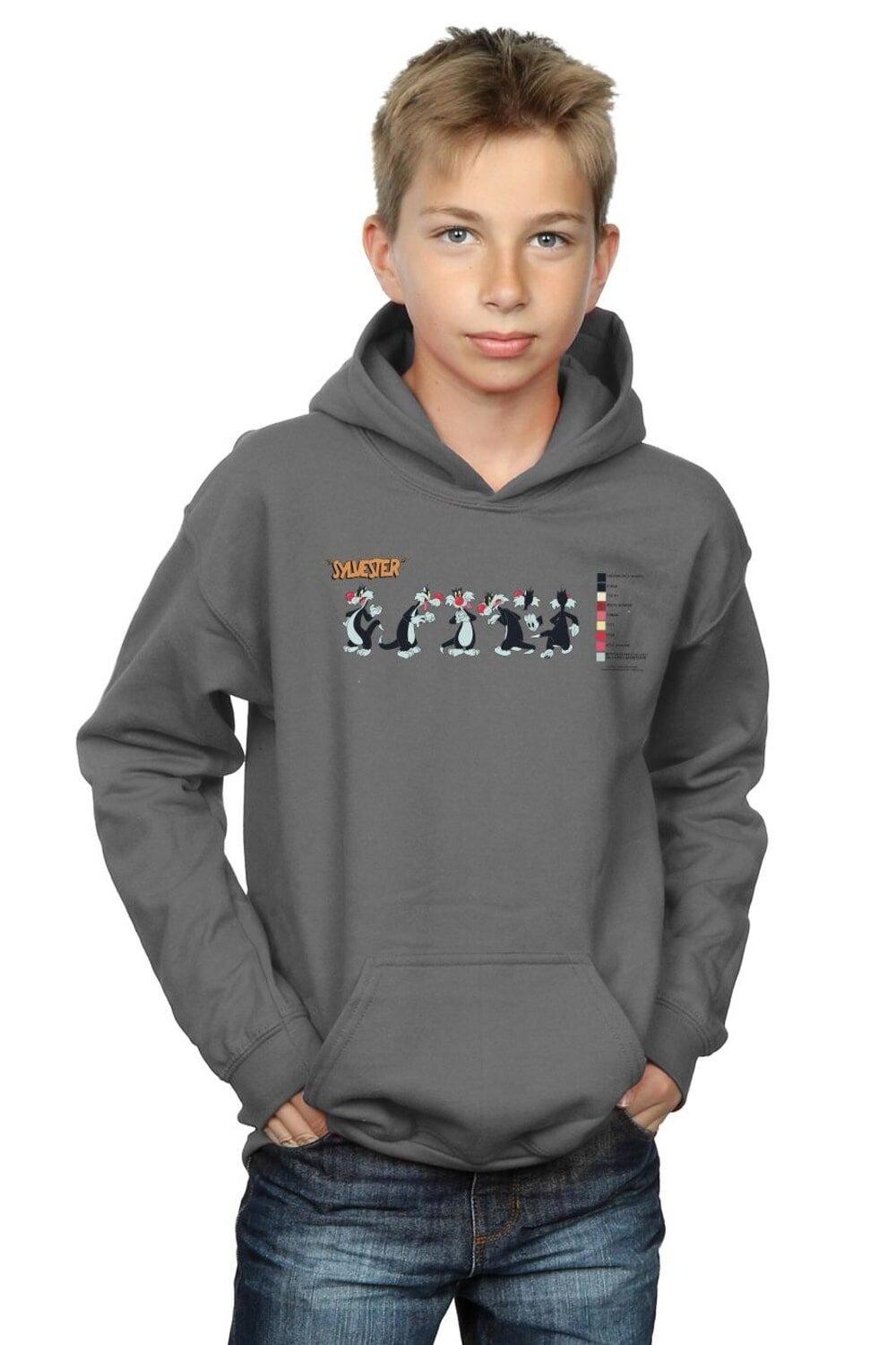 

Толстовка Sylvester Color Code Looney Tunes, серый