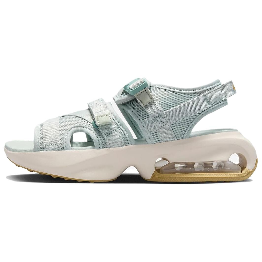 Женские пляжные сандалии Nike Air Max Sol