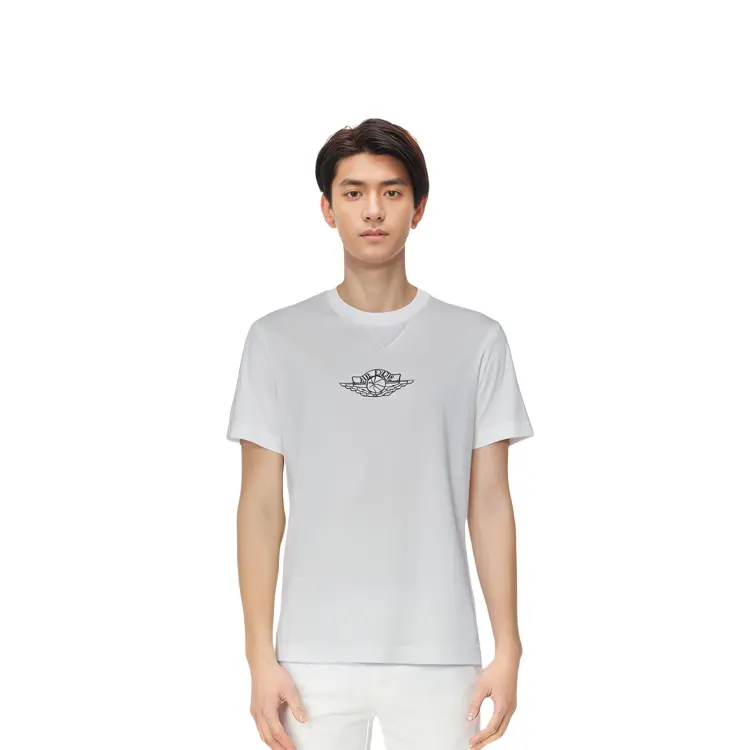 Jordan Quarterly New Products Футболка мужская белая Dior, белый — фото 3