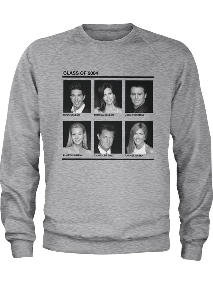 

Пуловер Friends, серый