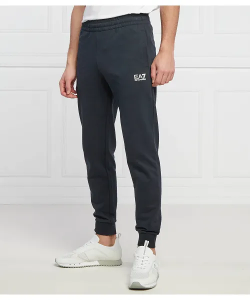 

Спортивные штаны Regular fit Ea7, синий