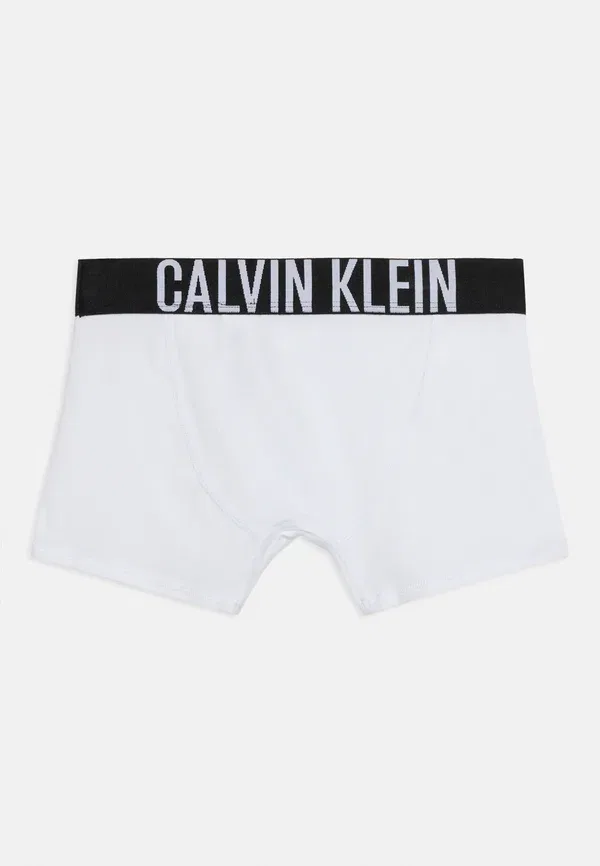 Трусы Calvin Klein Underwear Trunk 2 pacl briefs, темно-сапфировый/ярко-белый — фото 2