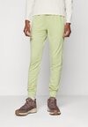

Тренировочные брюки WOMEN CRUSH PANTS Icebreaker, светло-зеленый