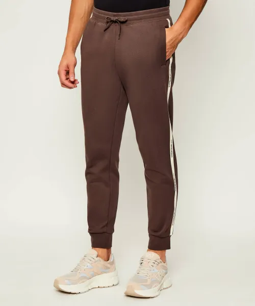 

Спортивные штаны Regular fit Ea7, коричневый
