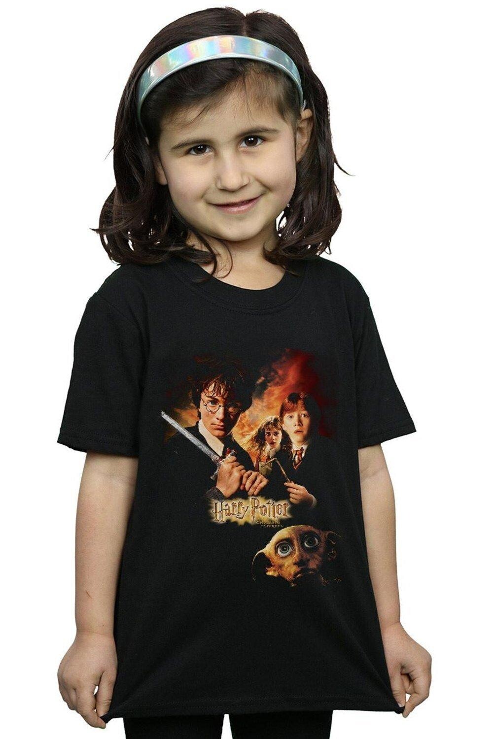 

Хлопковая футболка с плакатом «Тайная комната» Harry Potter, черный