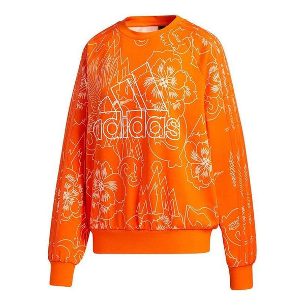 

Свитера aop свитера Adidas, оранжевый