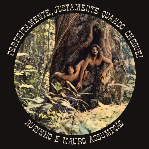 

CD диск Rubinho E Mauro Assumpcao: Perfeitamente, Justamente Quando Cheguei