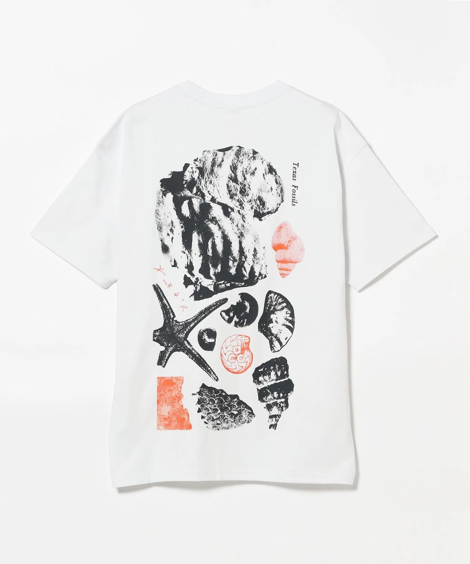 Мужская футболка NIKE ACG FOSSILS TEE с принтом — фото 3