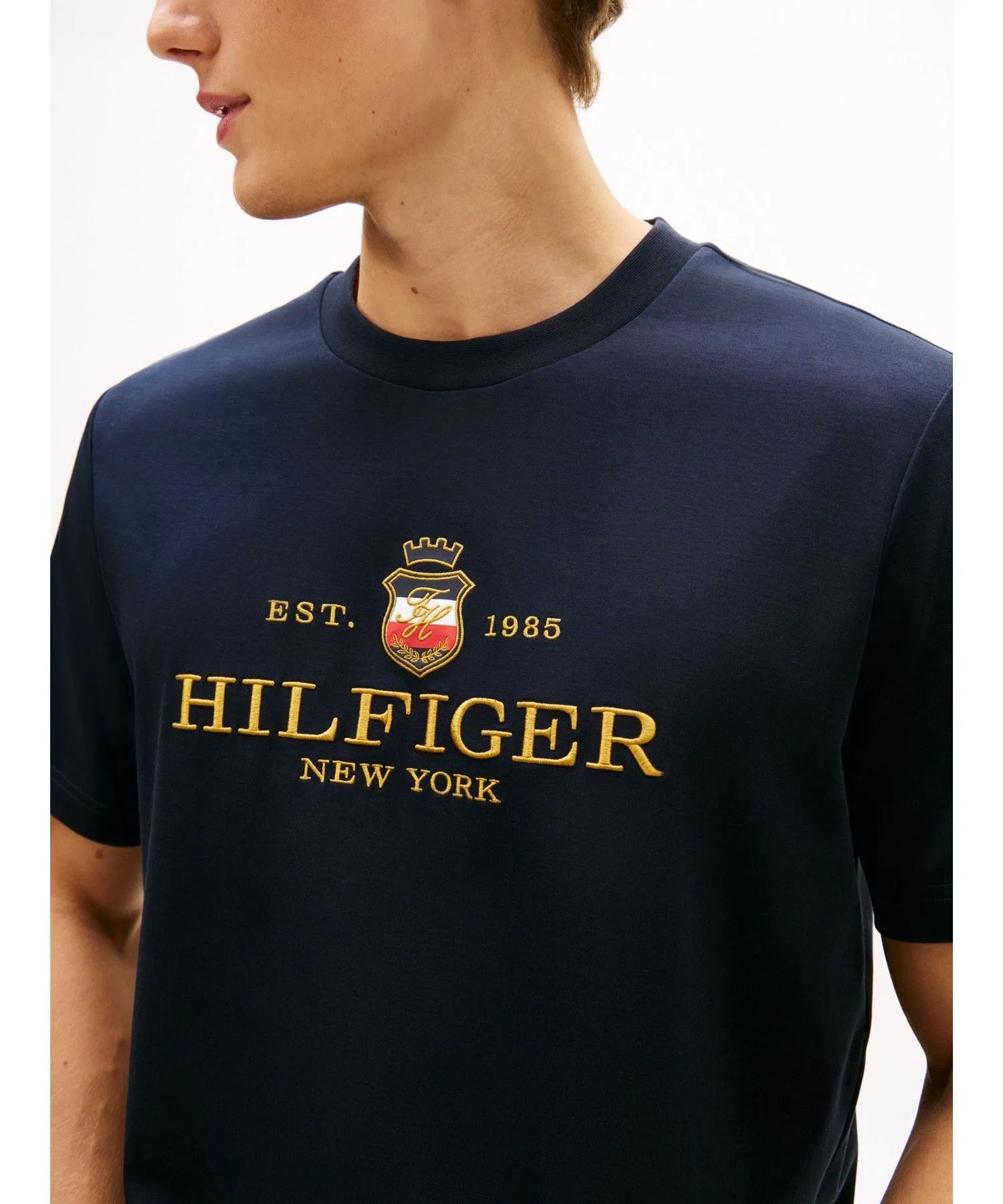 Мужская футболка TOMMY HILFIGER ICON GRAPHIC TEE — фото 2