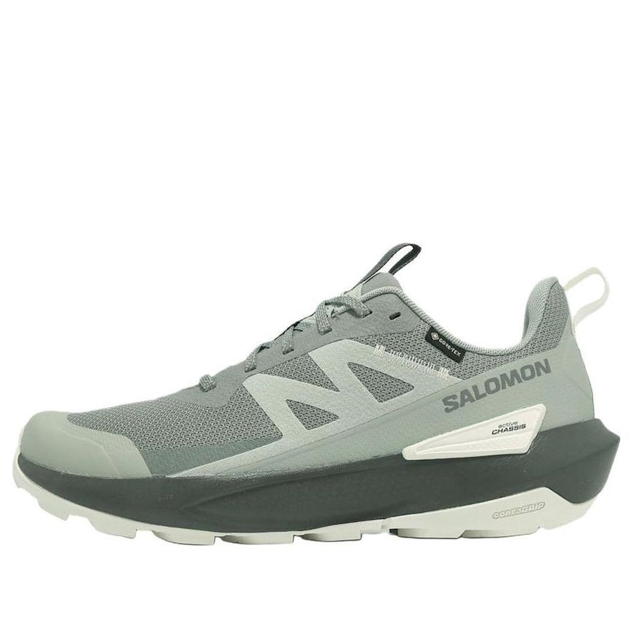 

Кроссовки SALOMON ELIXIR ACTIV GTX 'Green, зеленый