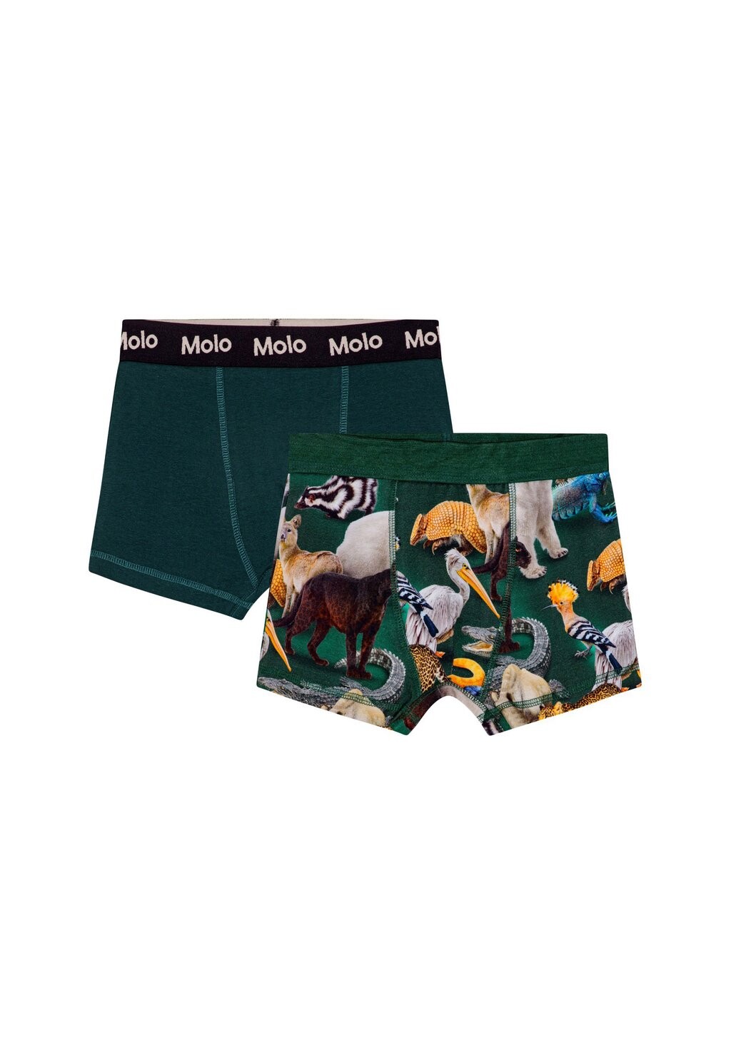 

Трусы JUSTIN BOTTOM 2 PACK Molo, темно-зеленый