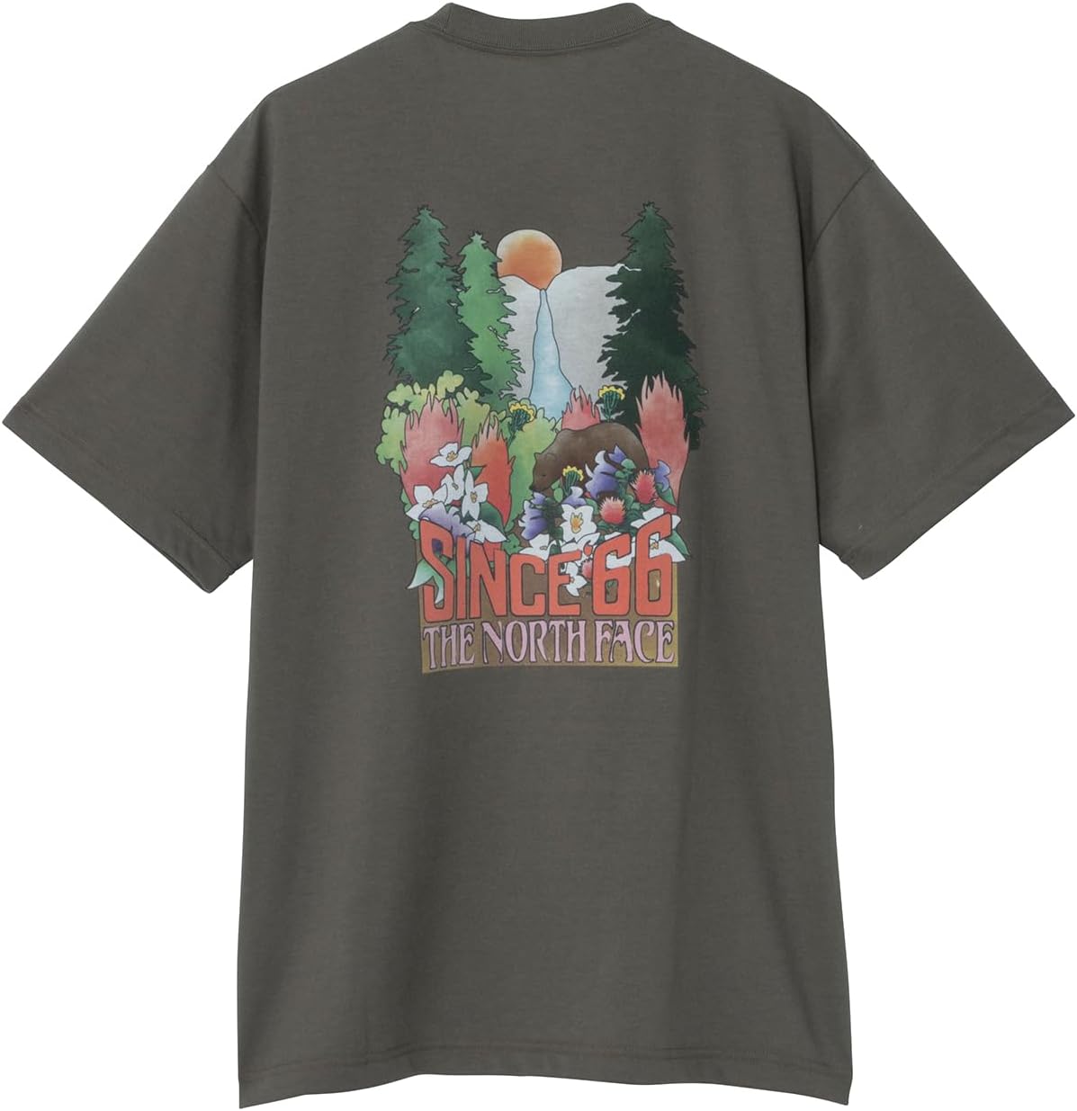 

Футболка THE NORTH FACE Yosemite Falls, унисекс, для взрослых, серо-коричневый