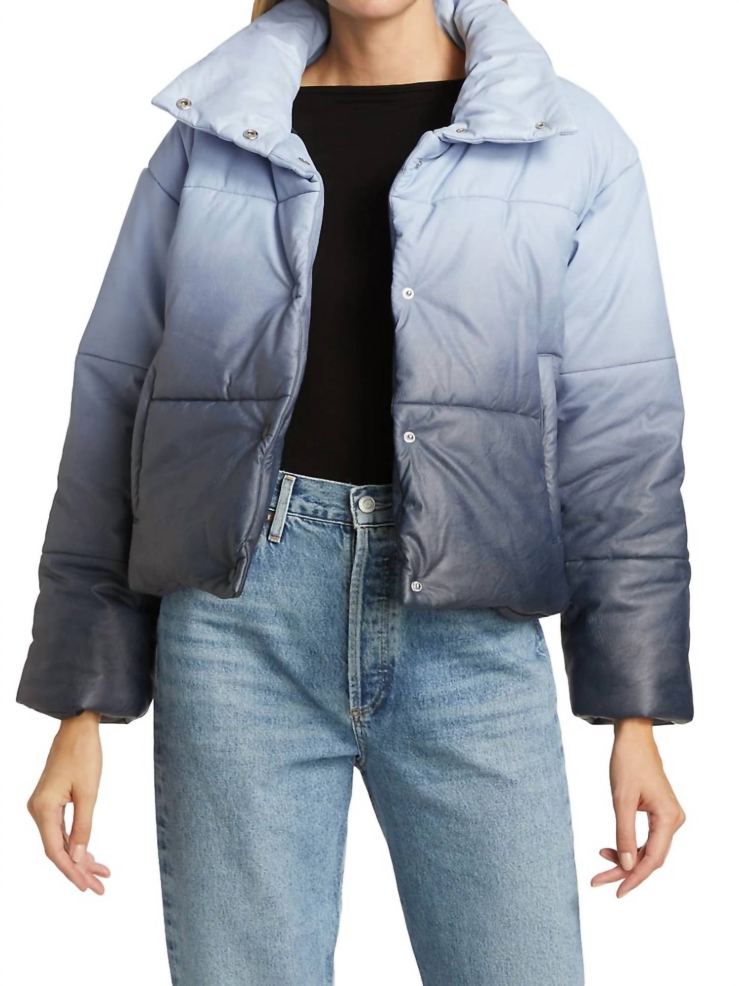 

Пальто из веганской кожи Cecilia в цвете Alpine Ombre Cami NYC