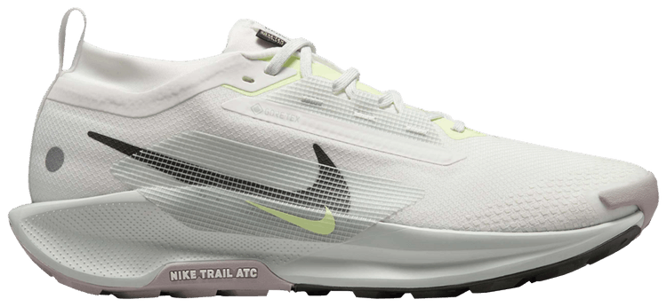 

Кроссовки Nike Pegasus Trail 5 GORE-TEX 'Light Silver Sequoia', серый