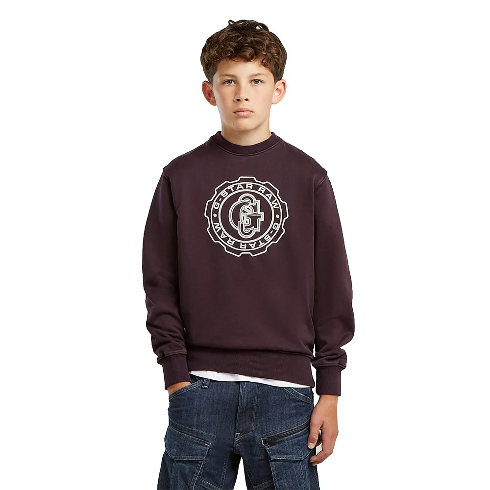 

Толстовка G-Star D29172-01, фиолетовый