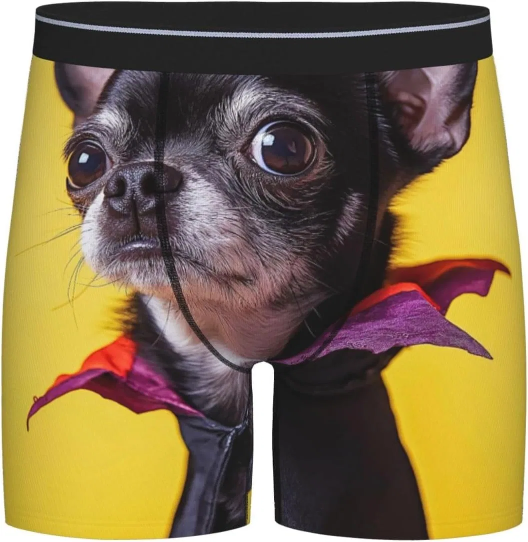 Боксеры, Chihuahua Dog, Black