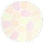 Пудра для лица Elegance La Poodle Autonuance Face Powder IV Clear (Refill), 8.8 г — фото 2