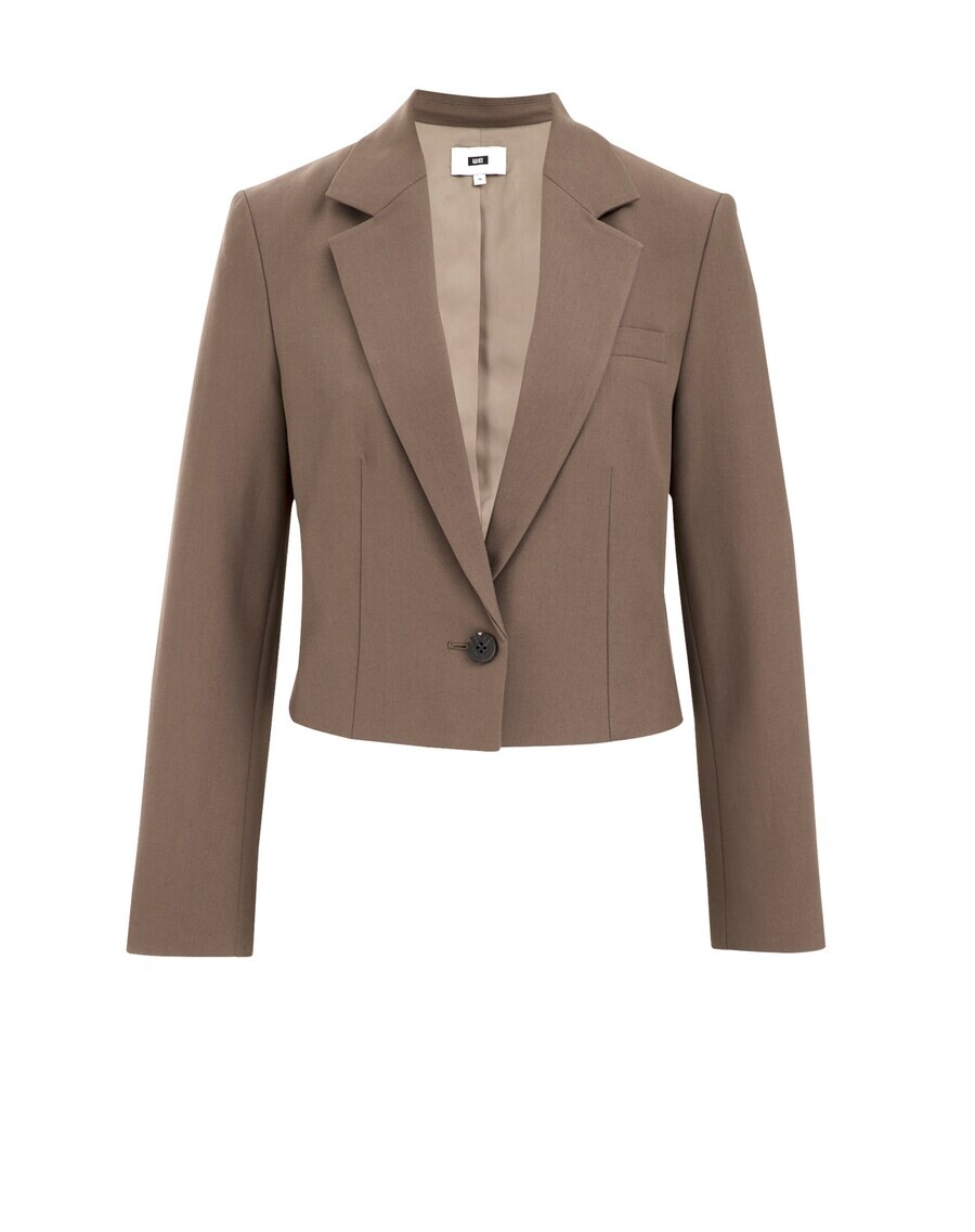 

Короткий блейзер WE Fashion Blazer, хаки