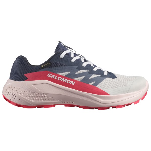

Женские кроссовки Alphaglide Gore-Tex для бега по пересеченной местности Salomon, мультиколор