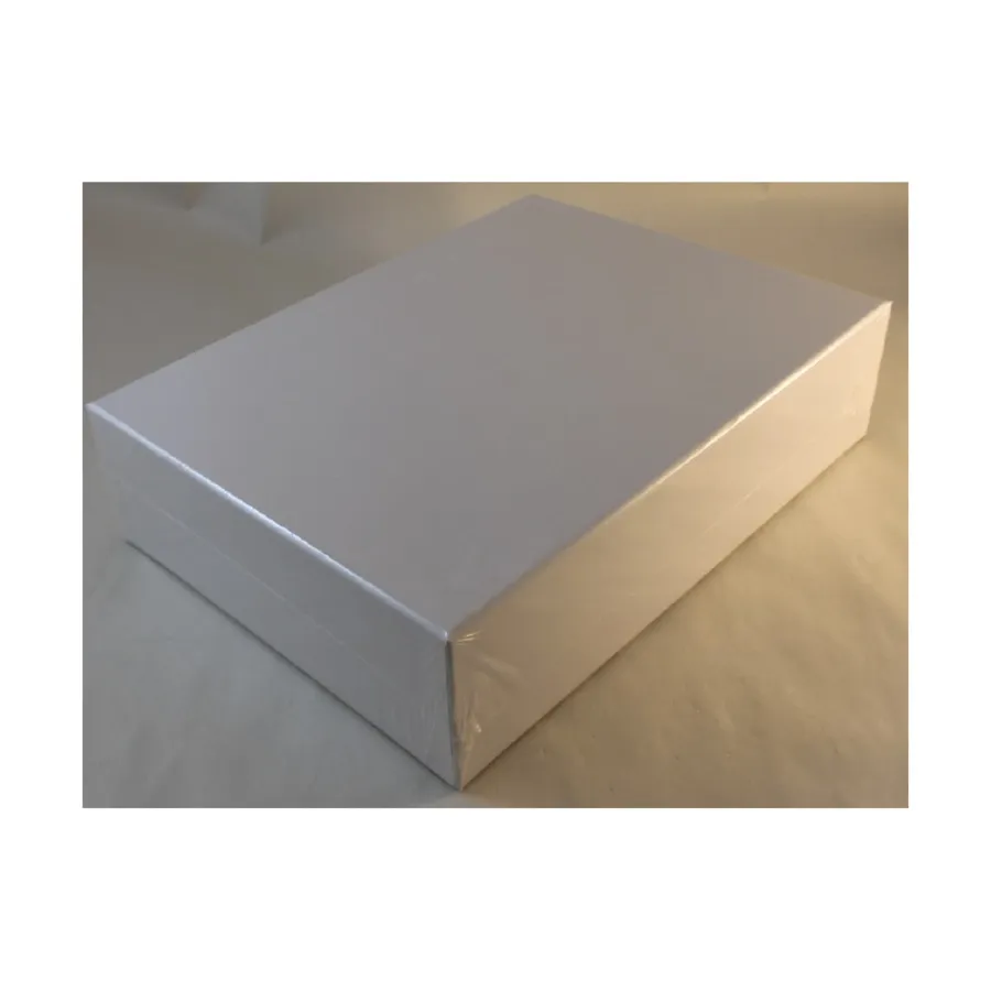 

Пустая коробка для военных игр (3 дюйма, белая, двойной толщины) (1), Blank Counter Sheets, Counter Trays, Empty Wargame Boxes & Blank Hex Maps (GMT)