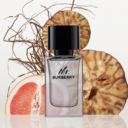 Туалетная вода для мужчин 50 мл с цветочным рисунком, Burberry — фото 2