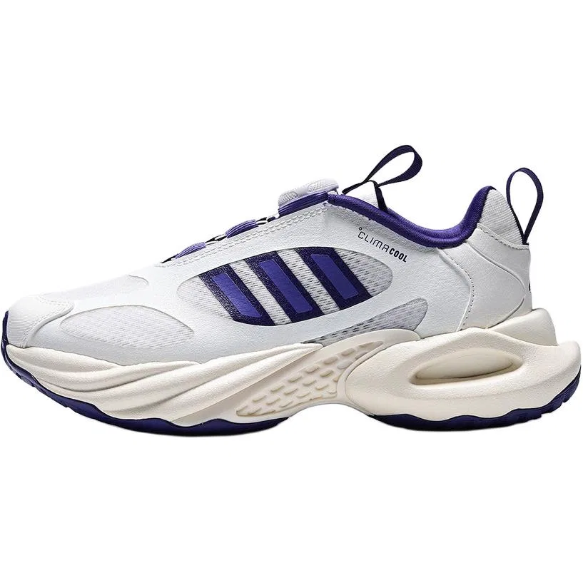 Кроссовки Climacool Low top детские беговые белые purple unisex Adidas Originals, White Purple
