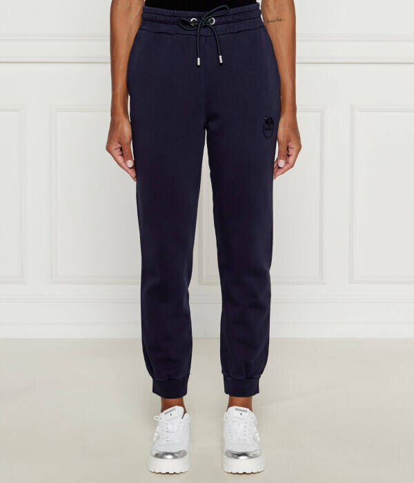 

Брюки-карго спортивные Pinko Regular Fit, синий