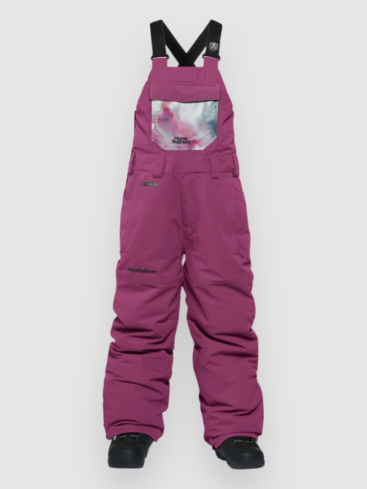 

Штаны для сноуборда Horsefeathers Medler II Kids Kids Hose, orchid, Фиолетовый, Штаны для сноуборда Horsefeathers Medler II Kids Kids Hose, orchid